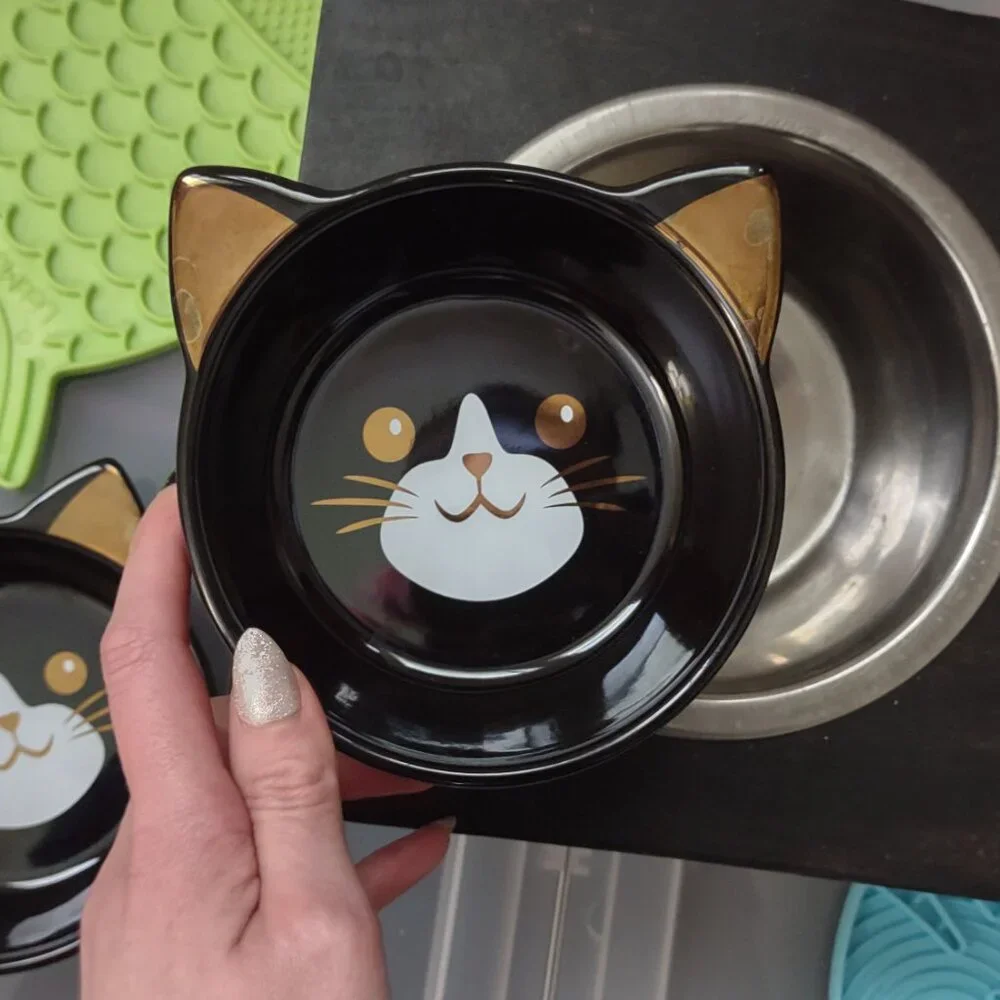 Cat and Dog Pet Bowls Metal and Ceramic, Licking Mats and Bat Collar